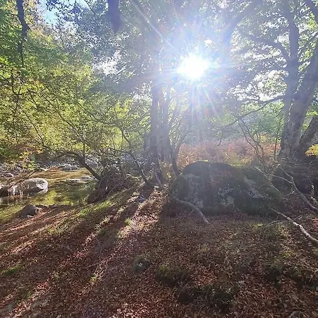 Escapade Parfaite En Cevennes