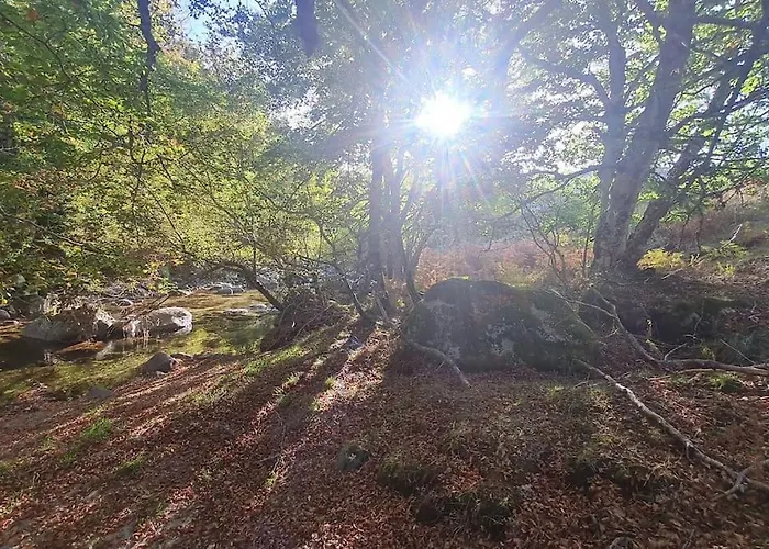 Escapade Parfaite En Cevennes